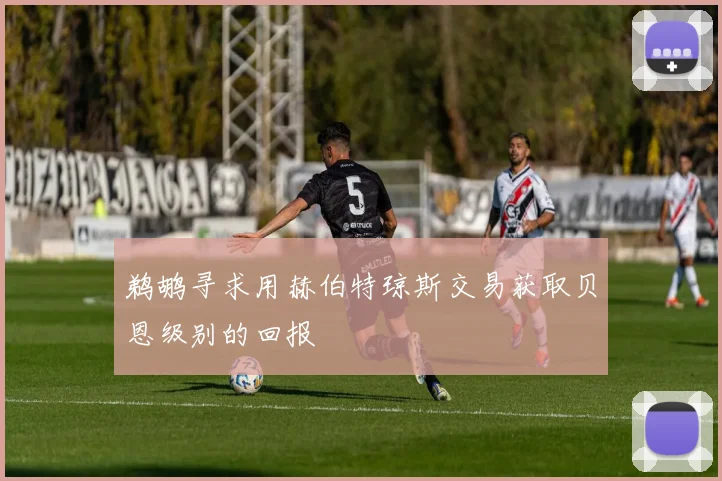 鹈鹕寻求用赫伯特琼斯交易获取贝恩级别的回报