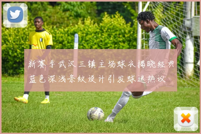 新赛季武汉三镇主场球衣揭晓经典蓝色深浅条纹设计引发球迷热议